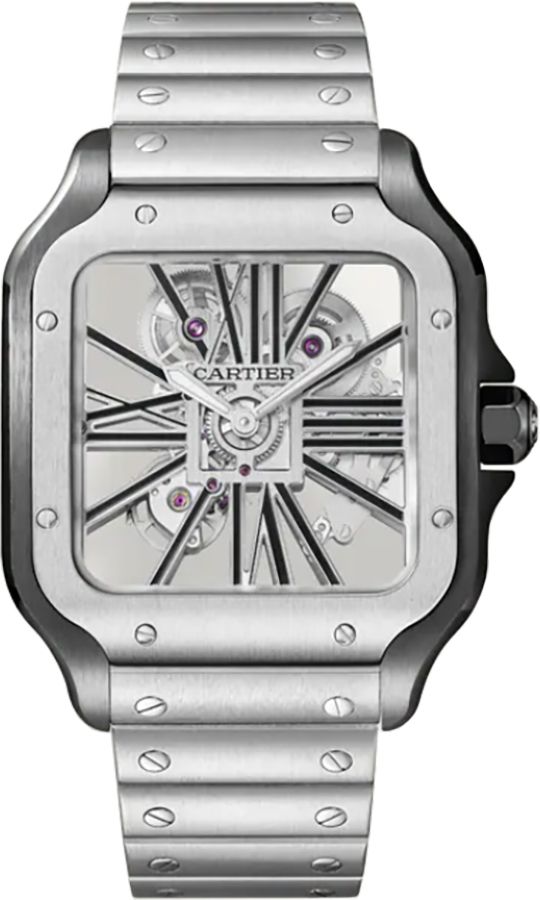 Cartier Santos De Cartier Manual Winding Skeleton Mens Watch WHSA0027 