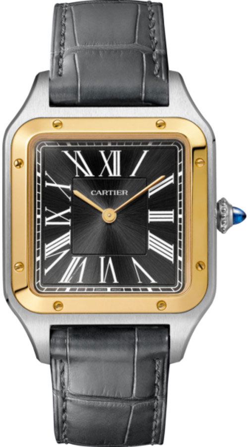 Cartier Santos De Cartier Manual Winding Grey Mens Watch W2SA0015 