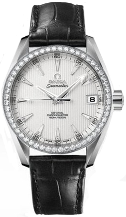 Omega Seamaster Aqua Terra Self winding Automatic Chronometer Silver Watch 23158392152001 