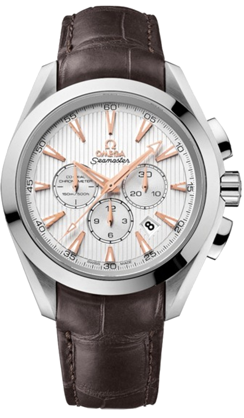 Omega Seamaster Aqua Terra Self winding Automatic Chronometer Silver Watch 23113445002001 