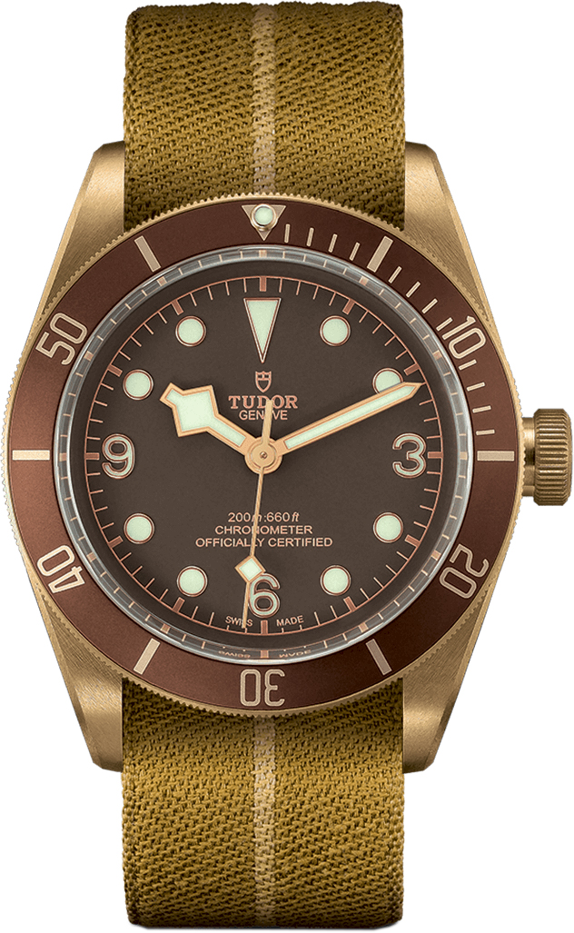 Tudor Heritage Line Self winding Automatic Brown Watch M79250BM-0003 