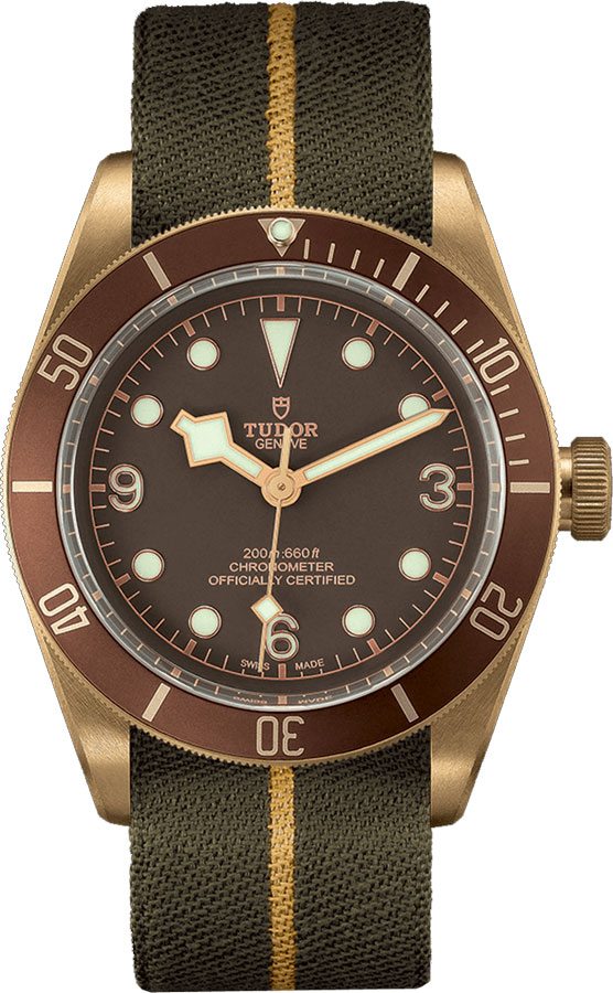 Tudor Heritage Line Self winding Automatic Brown Watch M79250BM-0004 