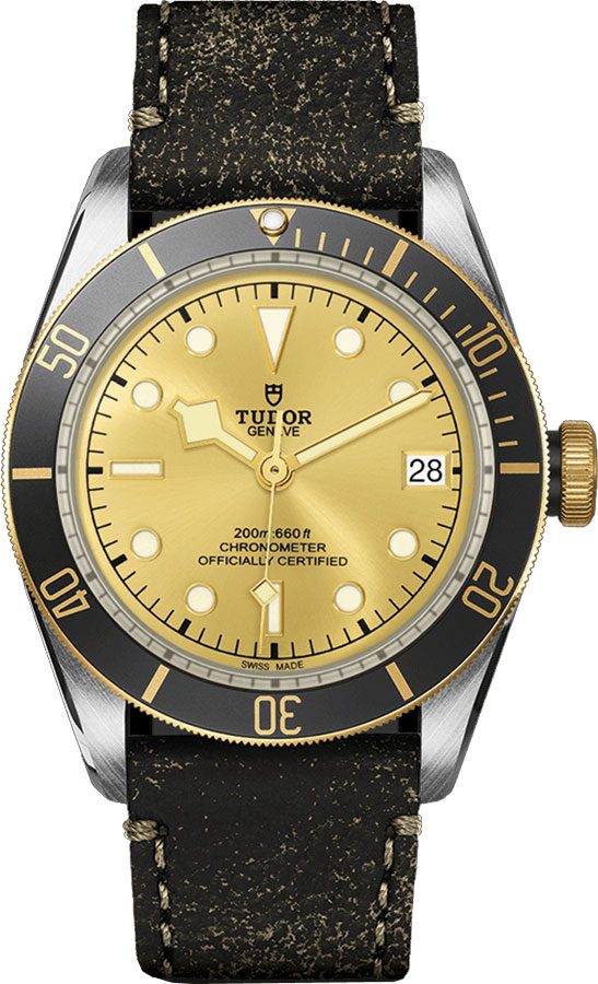 Tudor Heritage Line Self winding Automatic Champagne Watch M79733N-0003 