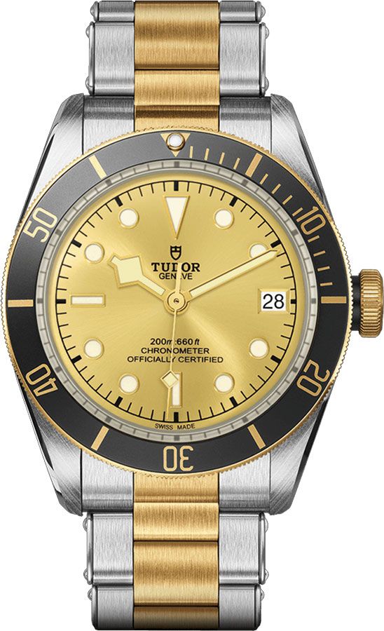 Tudor Heritage Line Self winding Automatic Champagne Watch M79733N-0004 