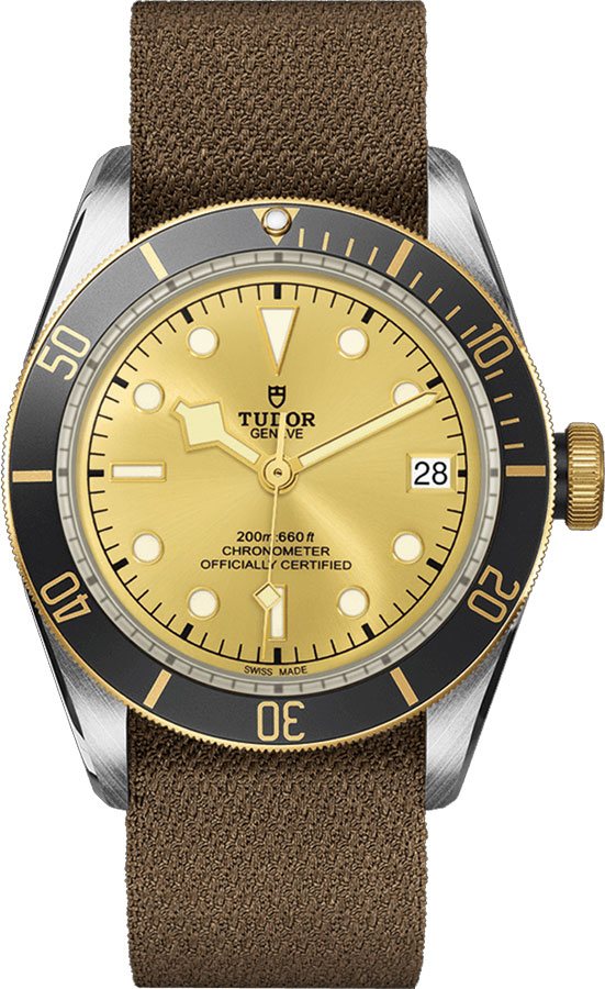 Tudor Heritage Line Self winding Automatic Chronometer Champagne Watch M79733N-0006 