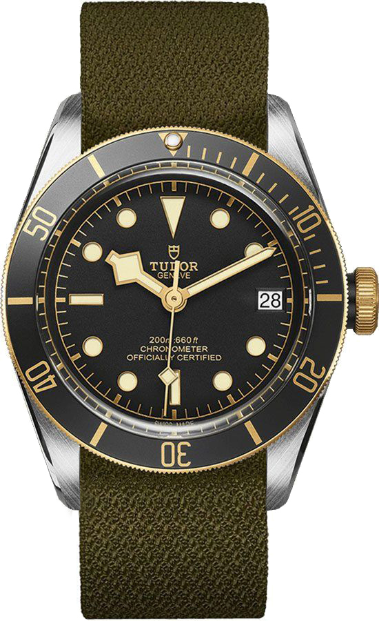 Tudor Heritage Line Self winding Automatic Black Watch M79733N-4347049 